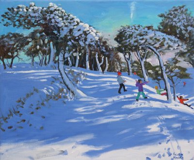 Winter, Ladmanlow, Derbyshire, 2013 von Andrew Macara